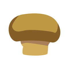 mushroom champignon agriculture food health