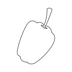 fresh pepper vegetable for farm market vegetarian