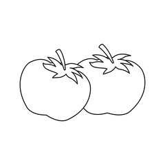 two ripe tomatoes juicy vegetable fresh