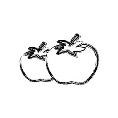 two ripe red tomatoes juicy vegetable fresh