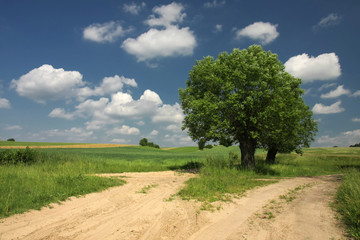 Sandy, dirt roads