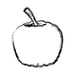 ripe pumpkin harvest vegetable food garden