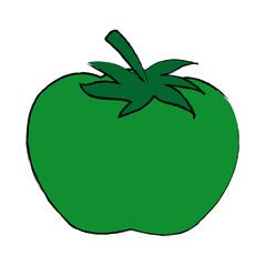 tomato vegetable from the farm organic food