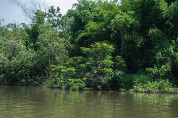ベトナム 晴れの マダグイ フォレスト リゾート 湖