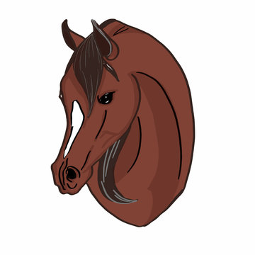 recommend clip art: brown  horse head 