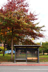 Tree and bus stop