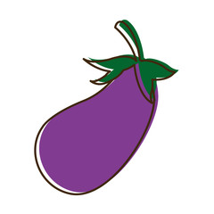 eggplant vegetable nutrition food diet