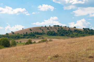 Fototapeta premium countryside landscape