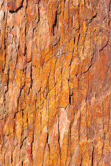Roca roja