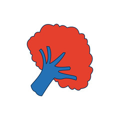 broccoli vegetable fresh farm healthy food