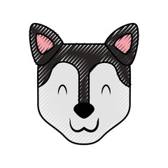 cute dog mascot icon vector illustration design