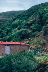 lost house ine the forest 