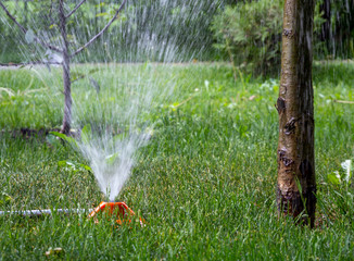 Naklejka premium Operation of the irrigation system in the park