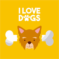 i love dog life icon vector illustration design graphic