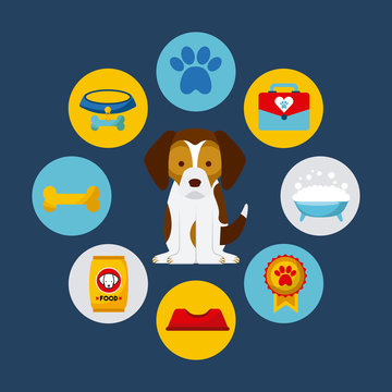 icon set love dogs vector house illustration design graphic