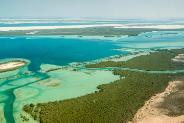 Gordijnen eastern mangrove © ali