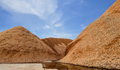 Wood Chips Mountain under the blue sky after rain. Piles of Wood Chips. - obrazy, fototapety, plakaty