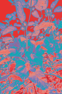 Artistic, floral background in red, pink and blue