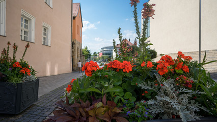 Naklejka premium Urbane Bepflanzung