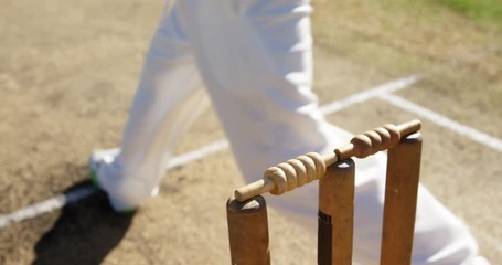 Bowler delivering ball during cricket match
