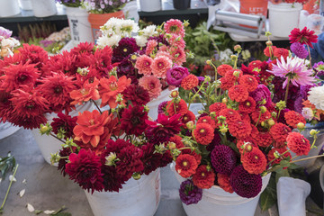 Red farmers market flowers