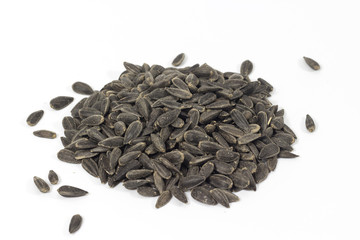 Seeds of sunflower sprout on white background