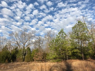 Checkerboard clouds