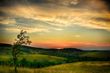 Fototapeta premium Landscape sunset back light tree hills grass clouds evening