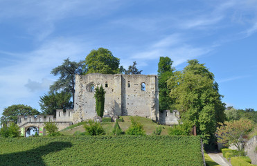 Fototapeta na wymiar Chateau de Langeais