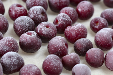 Frozen cherries on white background