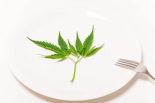 Fresh cannabis leaf on a plate