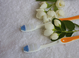 toothbrush, towel and flowers