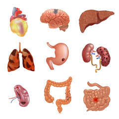 Realistic sick human organs set anatomy