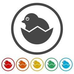 Chick hatched from an egg icons set - Illustration 