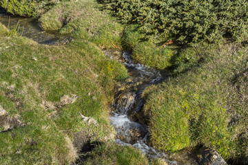 Close up of the Hornillo River, a small stream in Guadarrama Mountains National Park, Spain