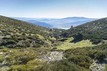 Fototapeta na wymiar Padded brushwood (Cytisus oromediterraneus and Juniperus communis) near Hornillo Stream, in Guadarrama Mountains National Park, Spain
