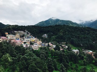 Obraz premium Nature