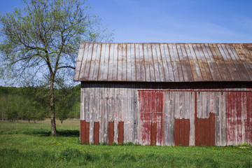 Fototapeta na wymiar Organic farming methods for fresh produce with rustic old barn in spring with copy space.