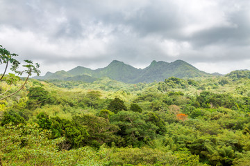 Landscape in Grenada, Caribbean