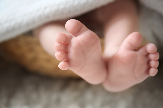 Newborn baby feet, closeup
