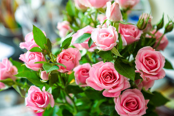 Romantic bouquet of pink garden roses on blurred background for posters, prints, wallpaper, greetings, invitations, wedding, cards, scrapbooking, birthday, date, gifts, presents