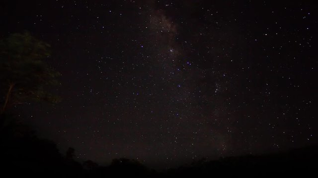 Night sky in the forest. Time lapse night sky, space.