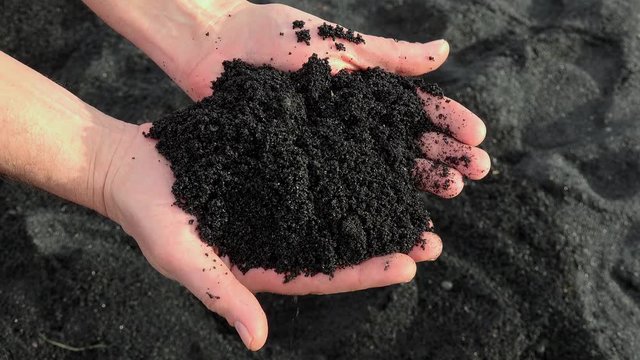 Hands with black sand at the Punaluu Beach. Big Island, Hawaii, USA

