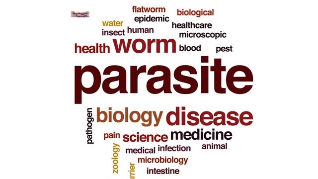 Parasite animated word cloud, text design animation.