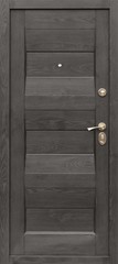 Fototapeta premium Entrance door (metal door)