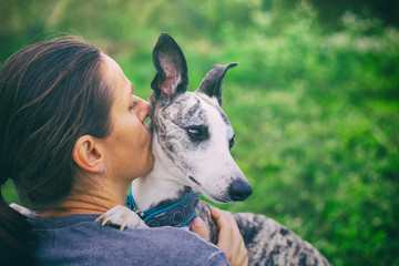 Woman kissing her cute dog. The whippet is resting with his owner. 