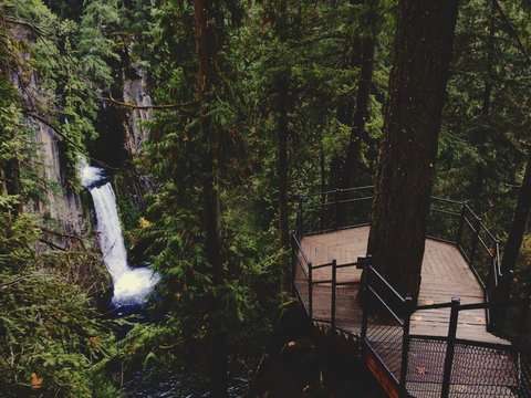 Waterfall Lookout