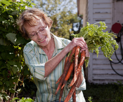 Senior Woman Inspecting Carrots