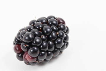 One fresh isolated blackberry