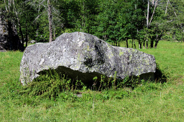 Granite rock erratic boulder in the Alps